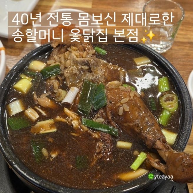 수원 권선구 맛집 송할머니 40년 전통 옻닭집 몸보신 제대로 한 후기 내돈내산