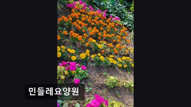 인천 서구 요양원 추천 민들레요양원 평점 4.86, 신뢰감 있는 선택