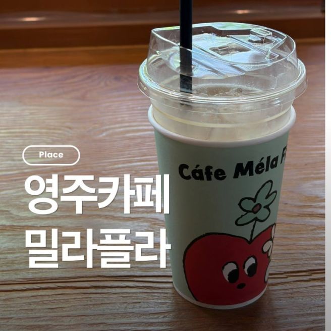 영주카페 영주사과카페 밀라플라