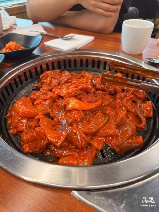 대관령 평창 맛집 납작식당 오삼불고기 오픈런 대기시간