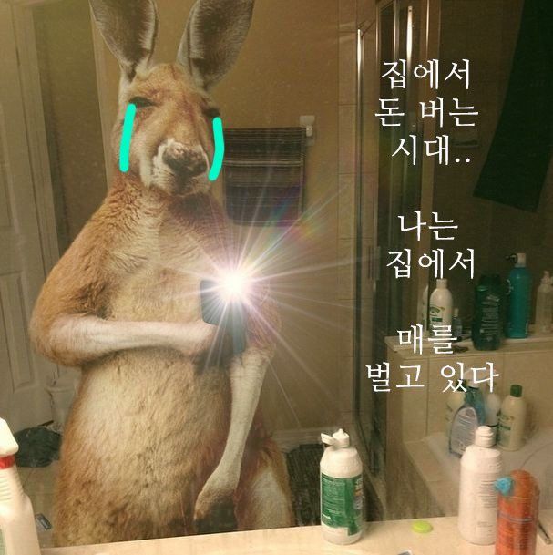스물넷 여름