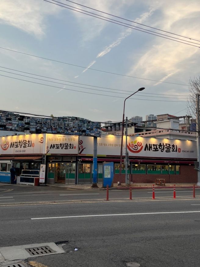 새포항물회집, 열 번 이상 내돈내산으로 간 포항물회집 추천