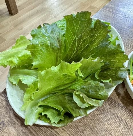 [경북.영주] 영주 한우 맛집 추천 | 불소한우숯불 내돈내산 등심,갈비살 후기 | 최근 가격O