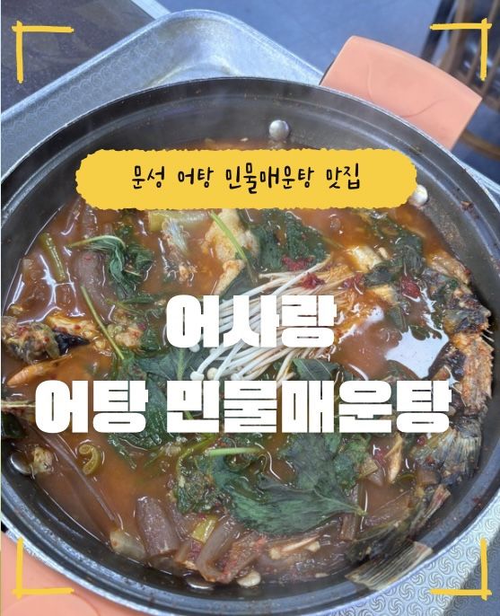 어사랑 메기매운탕