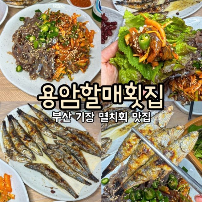 [부산 기장 멸치회 맛집]'용암할매횟집'/생멸치회 멸치회무침 멸치찌개 멸치구이 기장 점심 맛집 추천