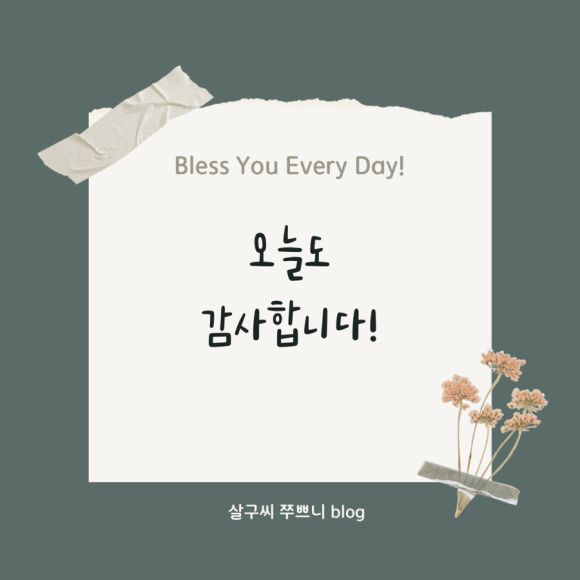 회현역 한정식 홍어삼합 굴전 간재미무침 밥집 남도한식 정든님 A코스