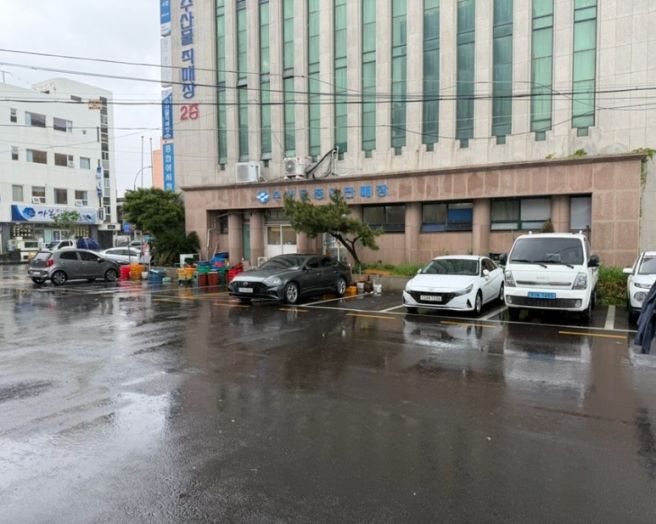 제주공항 근처 맛집 물항식당 갈치국 갈치구이백반 내돈내산후기