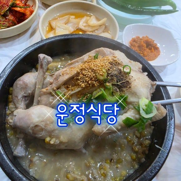 군산 초복 맛집 운정식당 녹두삼계탕, 여름 몸보신 제대로 했어요!