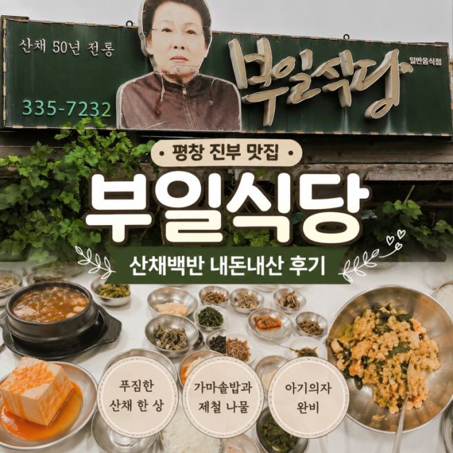 평창 진부 맛집 부일식당 산채백반 내돈내산 아기랑 방문 후기