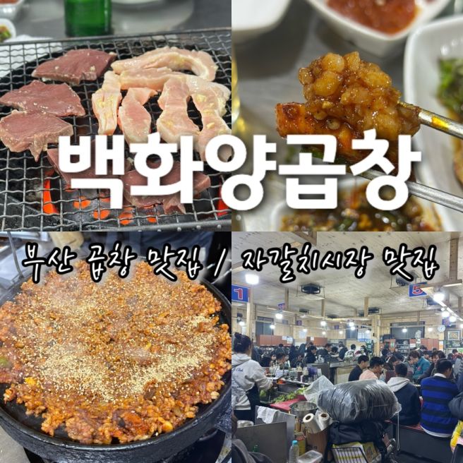 부산 곱창 맛집 자갈치시장 맛집, 백화양곱창