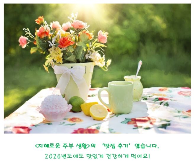 [양양] 맛집 Best 3 추천 : 수산항 물회(째복), 송이골(송이버섯), 봄날은 간다(장칼국수+튀김+전)