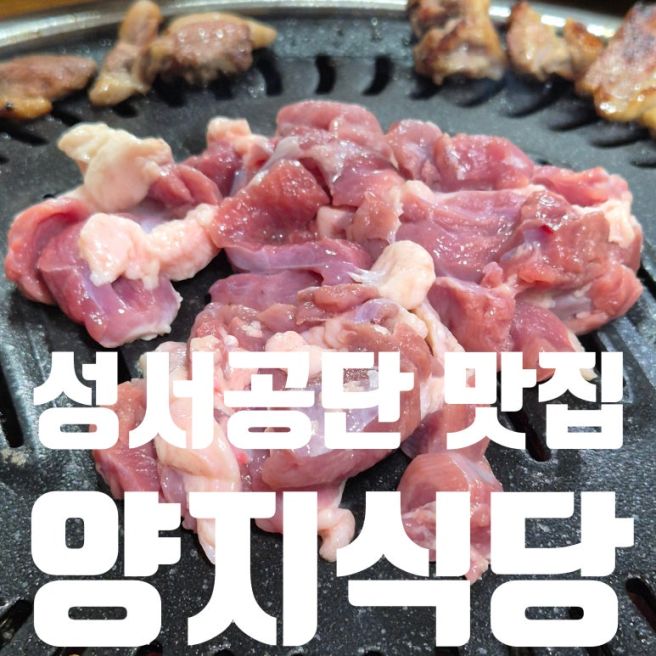 대구 성서공단 숯불 오리고기 맛집 양지식당