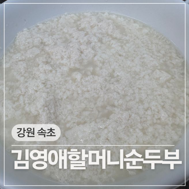속초 설악산 블루리본 맛집 김영애할머니순두부 본점 내돈내산