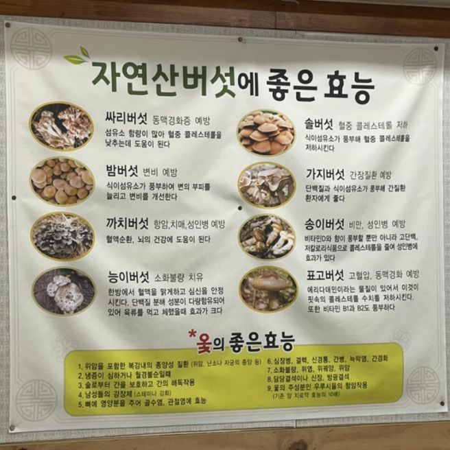 보은맛집 버섯찌개 코끼리식당