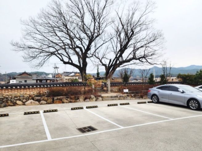 경주 교리김밥 본점 웨이팅 후기 첨성대 동궁과월지 맛집