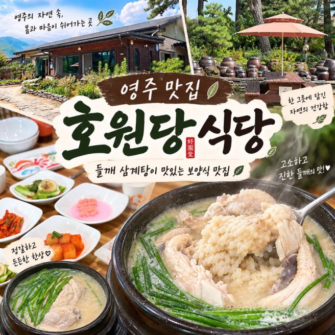 영주 맛집 호원당식당 | 영주 여행 고소한 들깨 삼계탕 먹고 온 후기