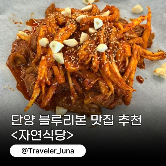 단양 블루리본 14개 구경시장 맛집 자연식당 추천