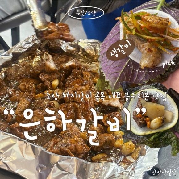 부산 초량 갈비골목 돼지갈비 맛집 ‘은하갈비’ 생갈비에 반하고 온 후기