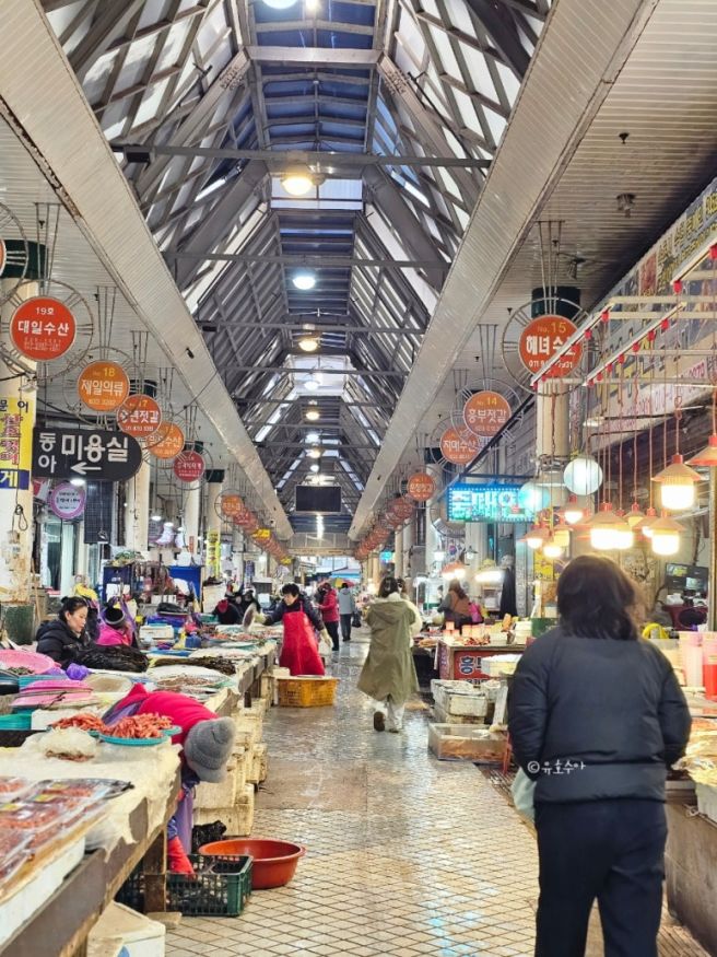 속초 중앙시장 맛집 원조 감나무집 감자옹심이 평일 오픈런 다녀왔어요