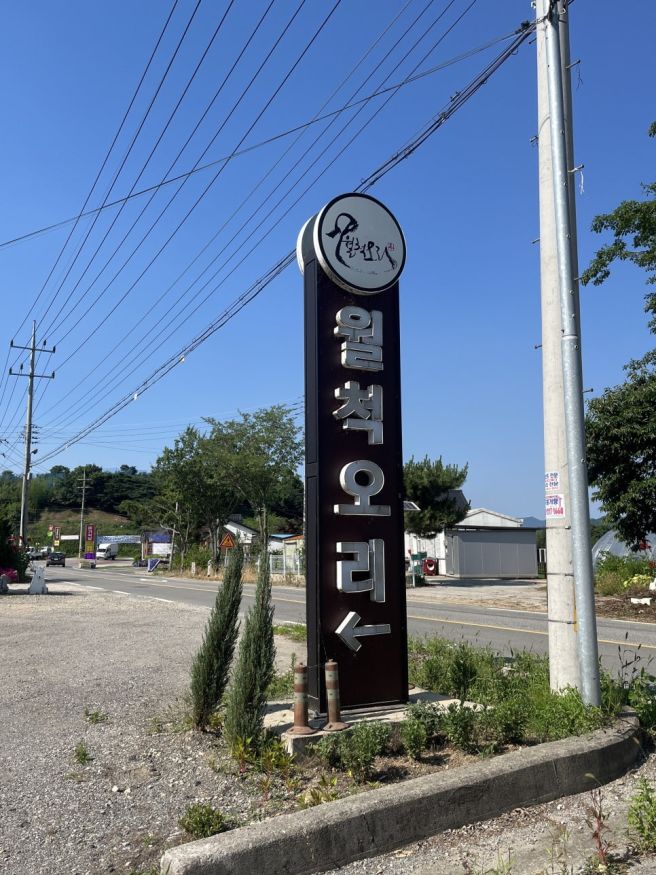 예산 월척오리주물럭 능이오리탕 예당호맛집 내돈내산