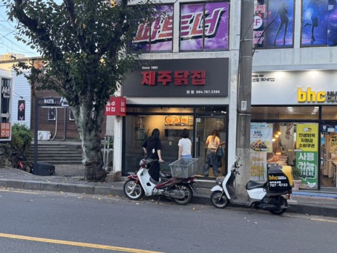 제주도 표선 로컬 맛집 : 표선제주닭집 치킨