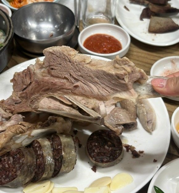 대구 맛집 8번식당본점 블루리본이 몇개야 노포 막창순대 내돈내산 추천