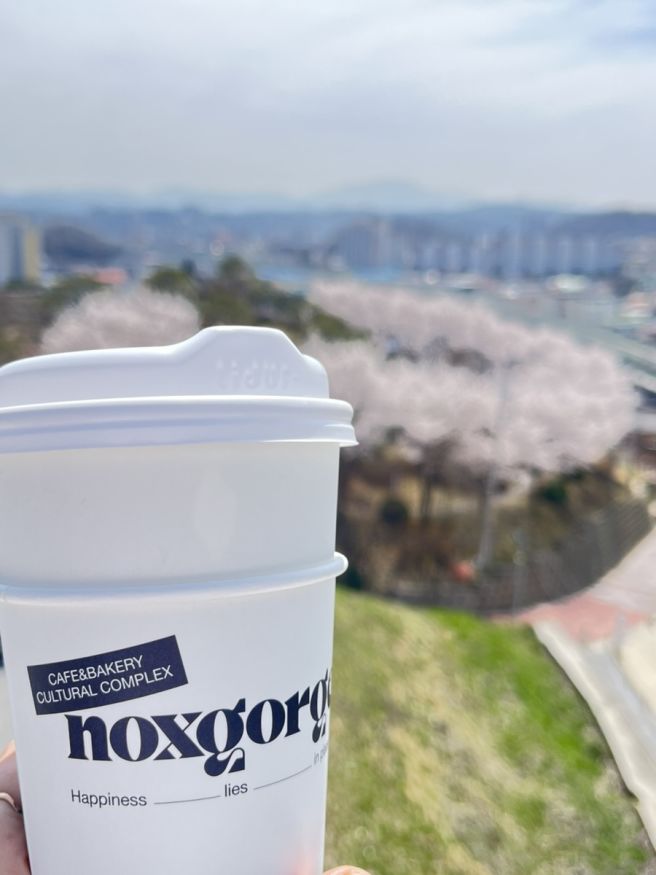 영주 뷰카페 추천 녹스고지｜베이커리·루프탑까지 완벽한 영주 카페