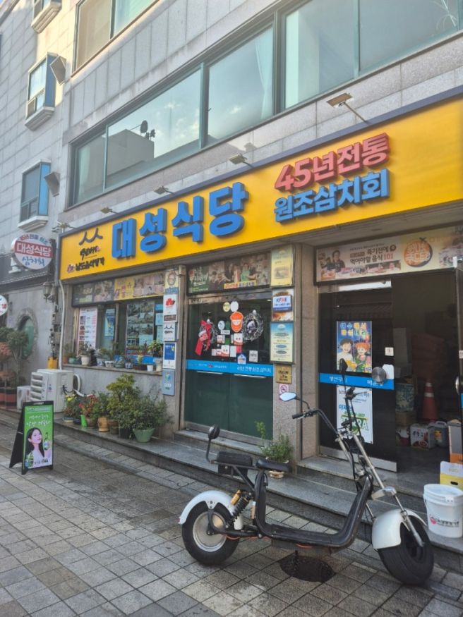 여수 횟집 이순신 광장 삼치회 맛집 대성식당 후기