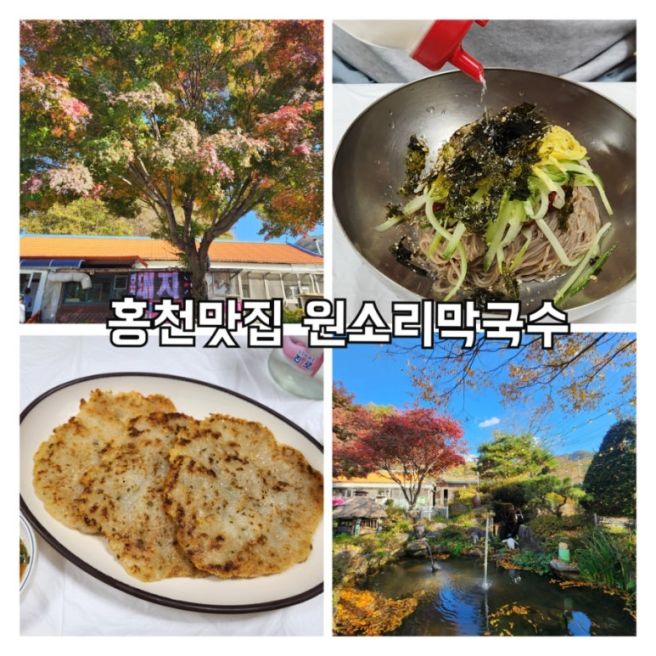 [홍천현지인맛집]내돈내산 원소리막국수 솔직후기