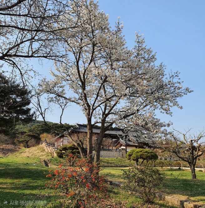 안동 여행 | 봄 안동 1박2일 코스 추천 (+맛집 솔직후기)