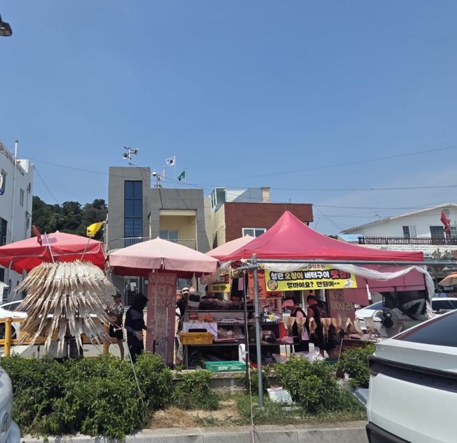 [내돈내산리뷰] 부산 기장 대변항 먹거리, 영주아줌마 오징어구이 솔직 후기