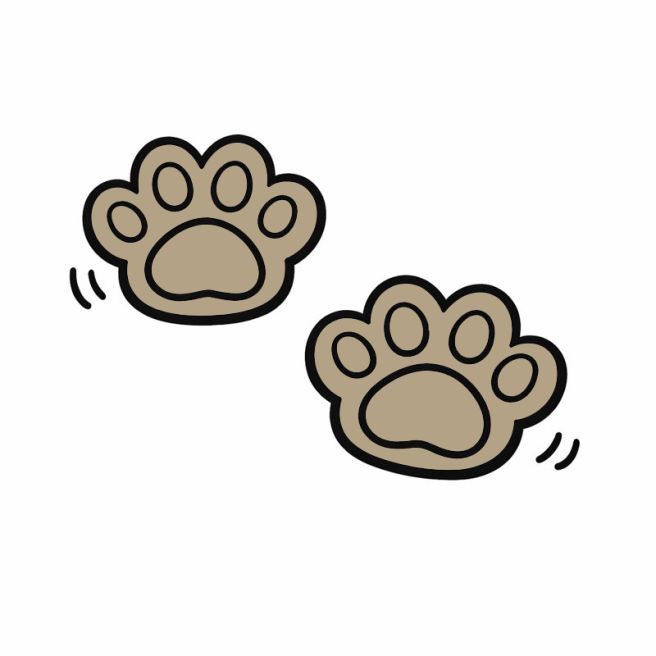 양양 현지인 맛집 범바우 냉면 막국수 | 막국수와 메밀전병 조합