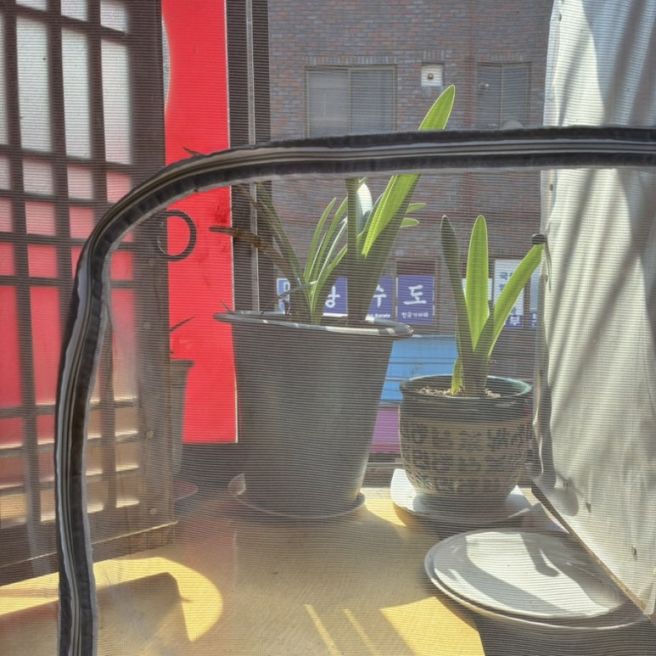 은평구 장가구, 불광천 가는 길에 들른 동네 노포 중식당