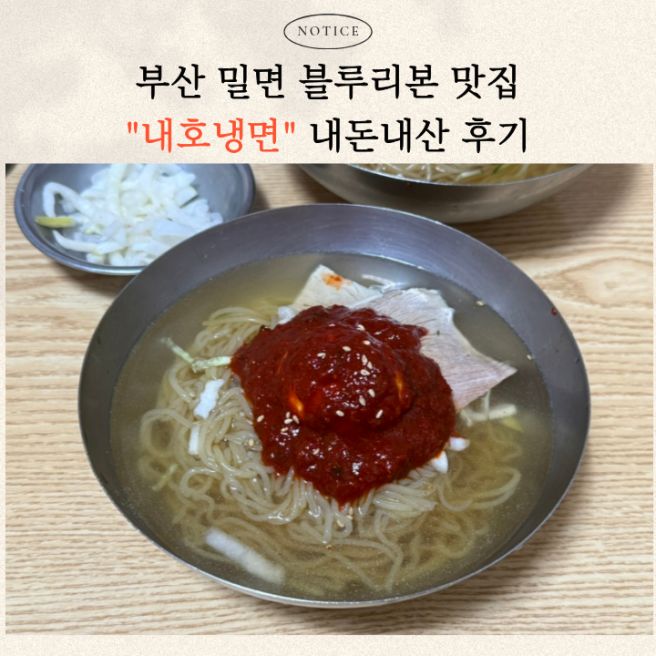 부산 남구 밀면 블루리본 맛집 ㅣ 내호냉면 솔직후기, 인기 많은 이유! (내돈내산)