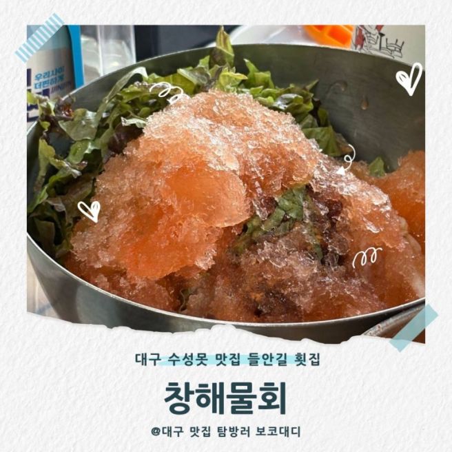 대구 수성못 맛집 창해물회 길게 썬 참가자미회 들안길 횟집 술집 추천