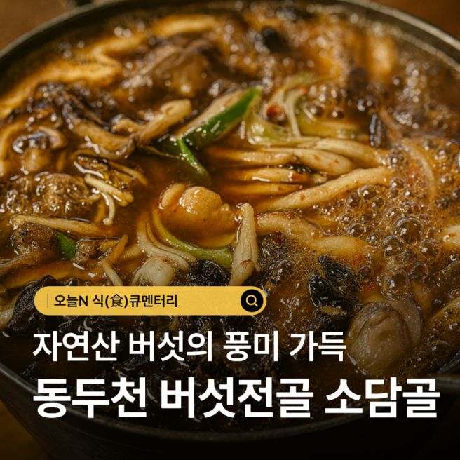 오늘N 식큐멘터리 자연산 버섯 풍미 가득한 동두천 버섯전골 소담골