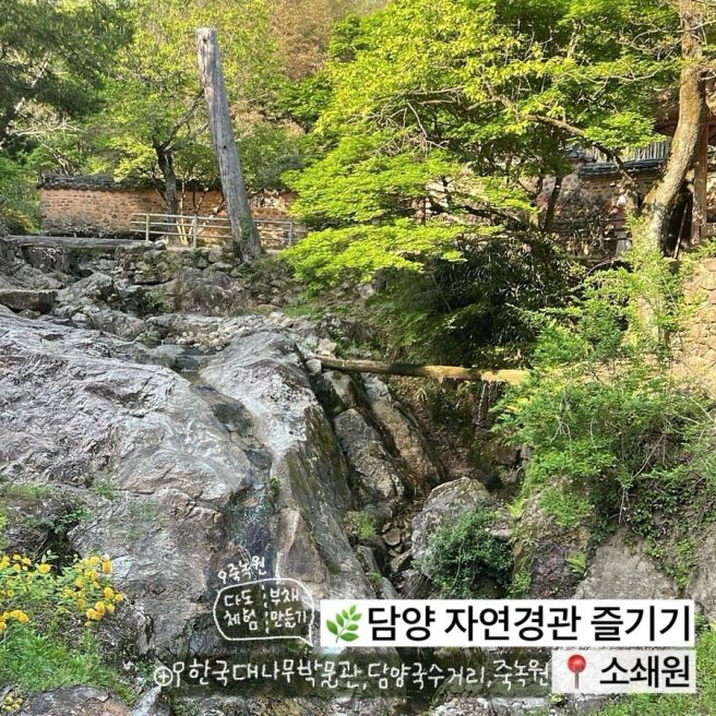 담양국수거리, 막둥이국수, 대나무아이스크림, 담양 소품샵, 선나나상점, 죽녹원, 소쇄원, 형제송정떡갈비)