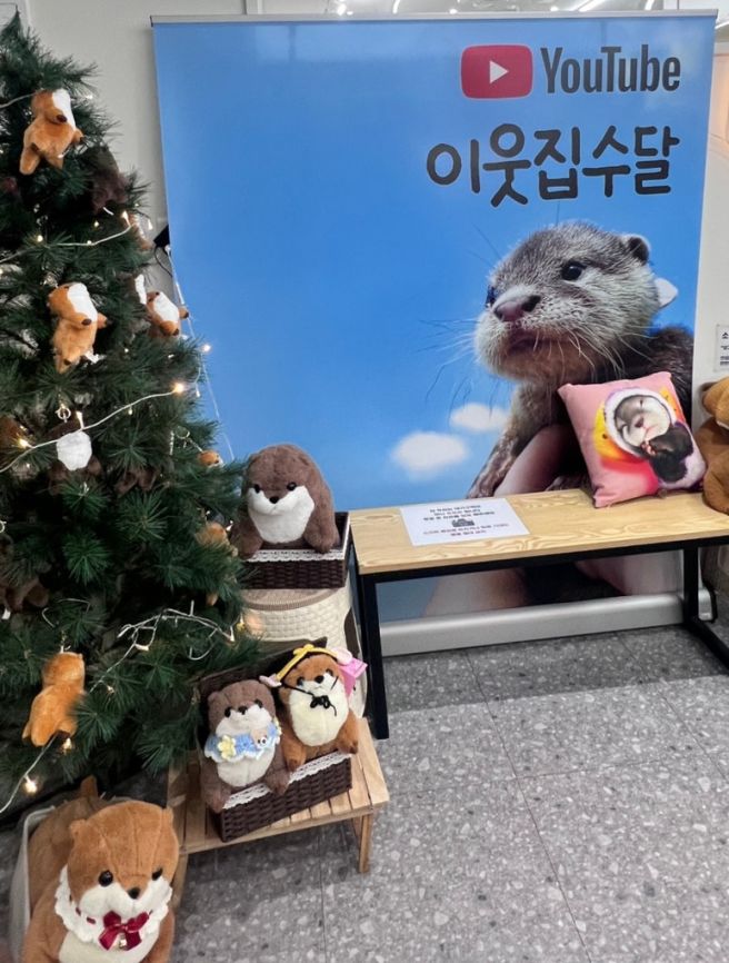 28개월 아기랑 경산 이웃집수달_옛진못식육식당, 대구한의대 한학촌카페