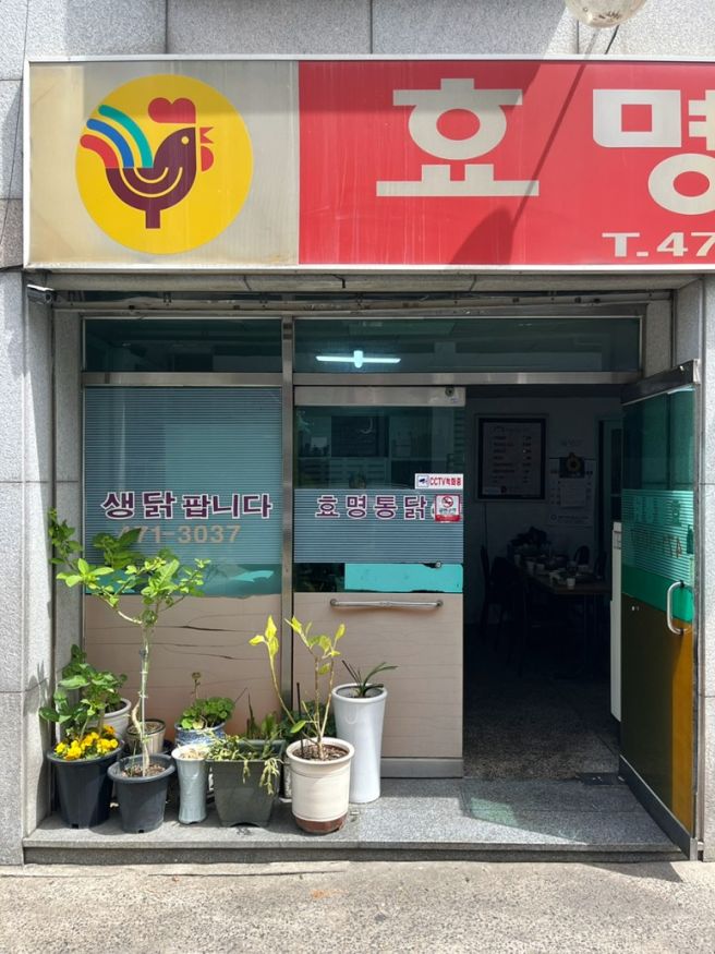 대구 남구 봉덕동 효명통닭, 야채찜닭 예약 필수 노포 맛집