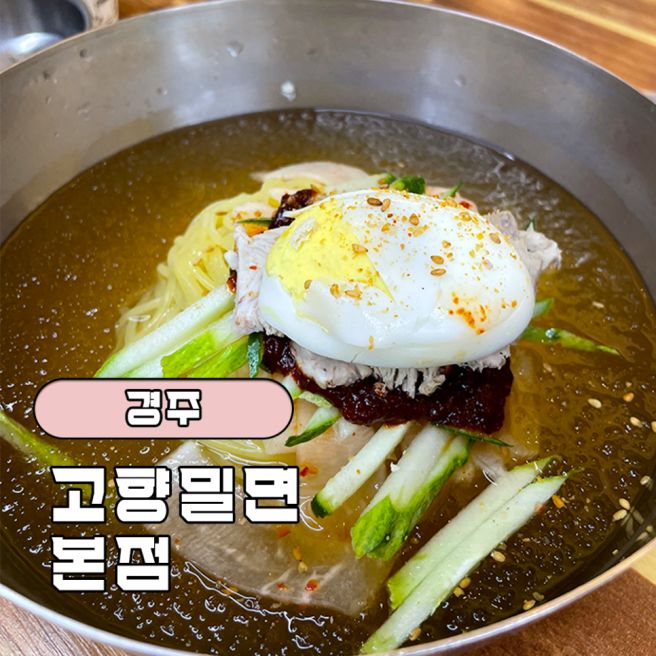 금리단길 경주 밀면 맛집 | 고향밀면 본점