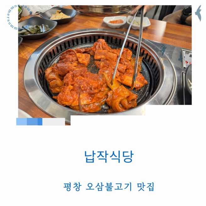 평창 납작식당 알펜시아 용평리조트 인생 맛집 오삼불고기 포장 가능