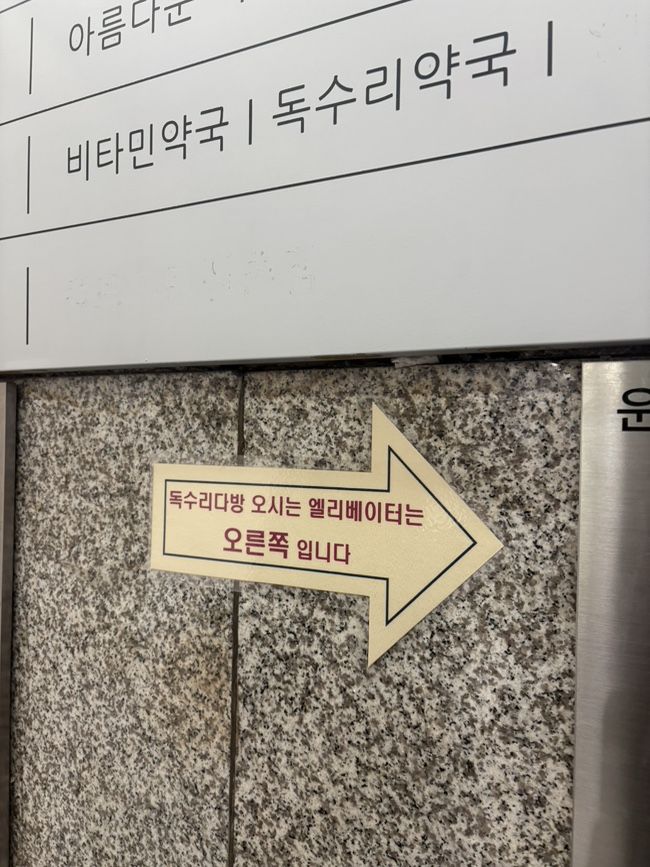 [서울/신촌] 공부 작업하기 좋은 뷰맛집 카페 독수리다방