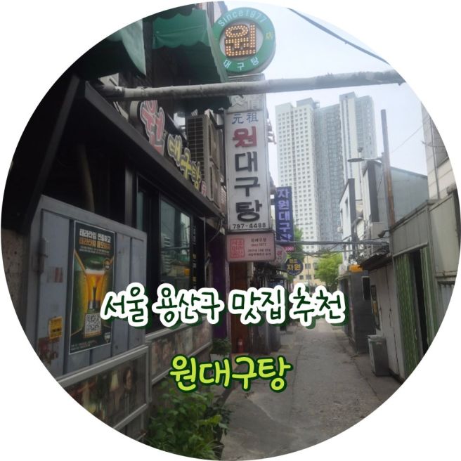 서울 용산 맛집 원대구탕 국물 맛 끝판왕 솔직 리뷰