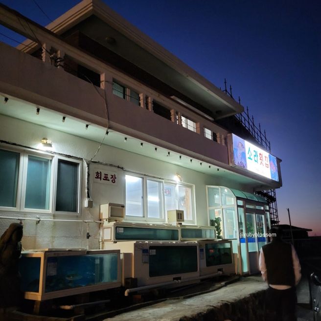 제주 현지인 맛집 추천｜구좌읍 해안도로 소라횟집 우럭조림 내돈내산 후기
