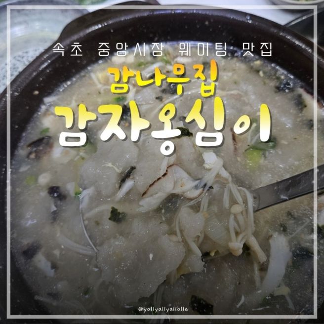 찐내돈내산 속초중앙시장 오면 줄서서라도 꼭 먹어야 하는 감나무집감자옹심이 후기
