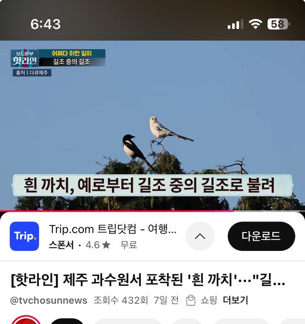 올해의 첫 번째 블로그 글