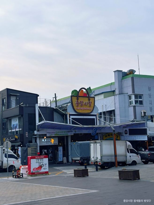 강릉중앙시장 맛집 길감자 오징어순대 어묵고로케 여고시절카레떡볶이 후기