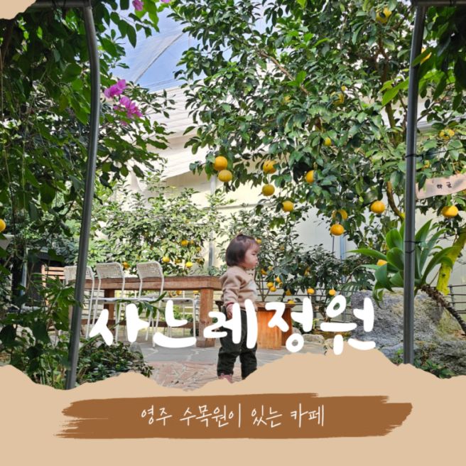 <영주> 수목원이 있는 카페 "사느레정원" (16개월 아기와 함께)