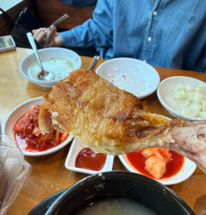 시청역 맛집 서울 3대 삼계탕 고려삼계탕 보양식 후기