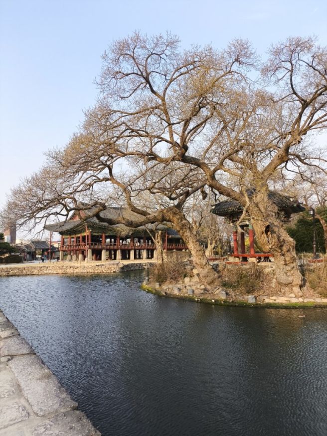 남원 효도여행_남원스위트호텔 디럭스트리플, 광한루원 &amp; 새집추어탕